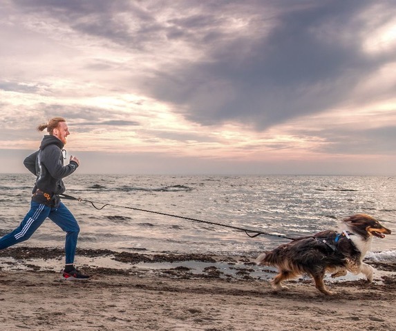 Crossdog Action am Strand