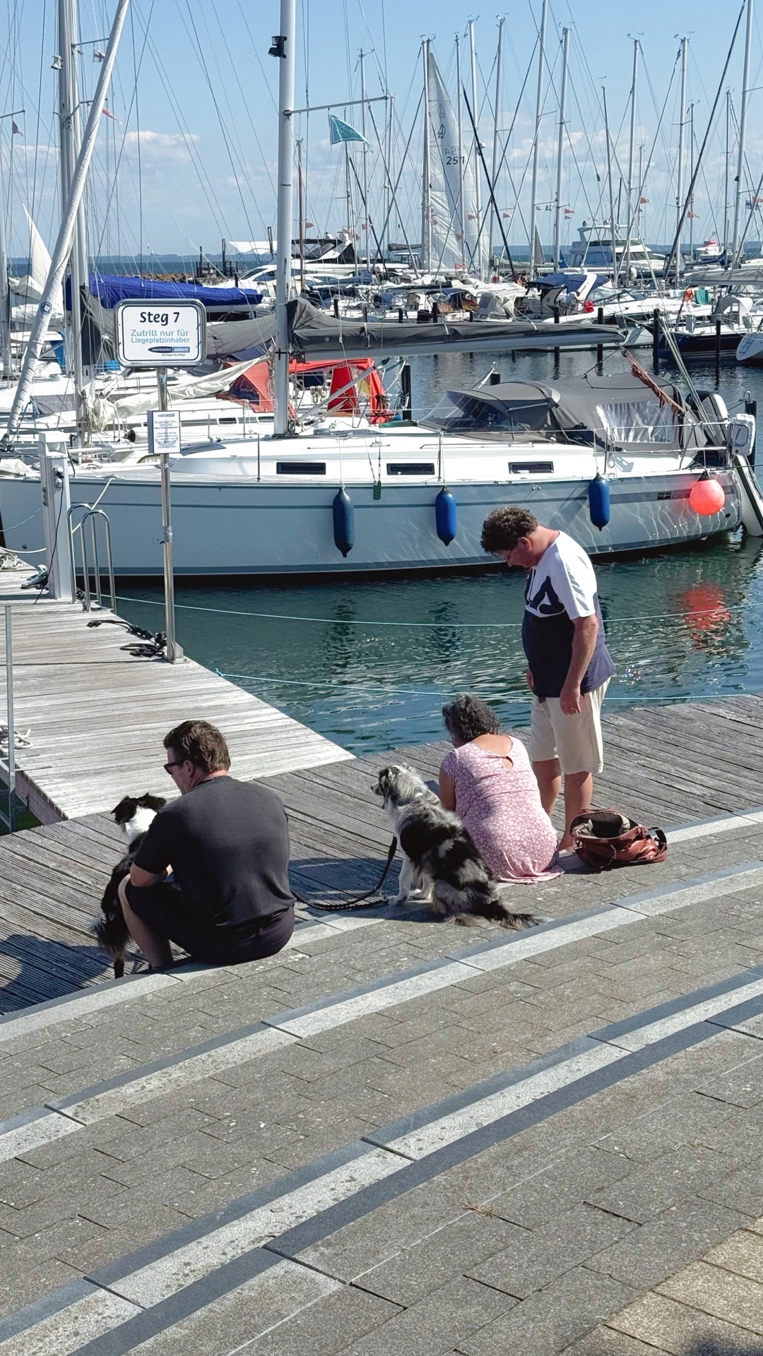 Hund im Restaurant Grömitz