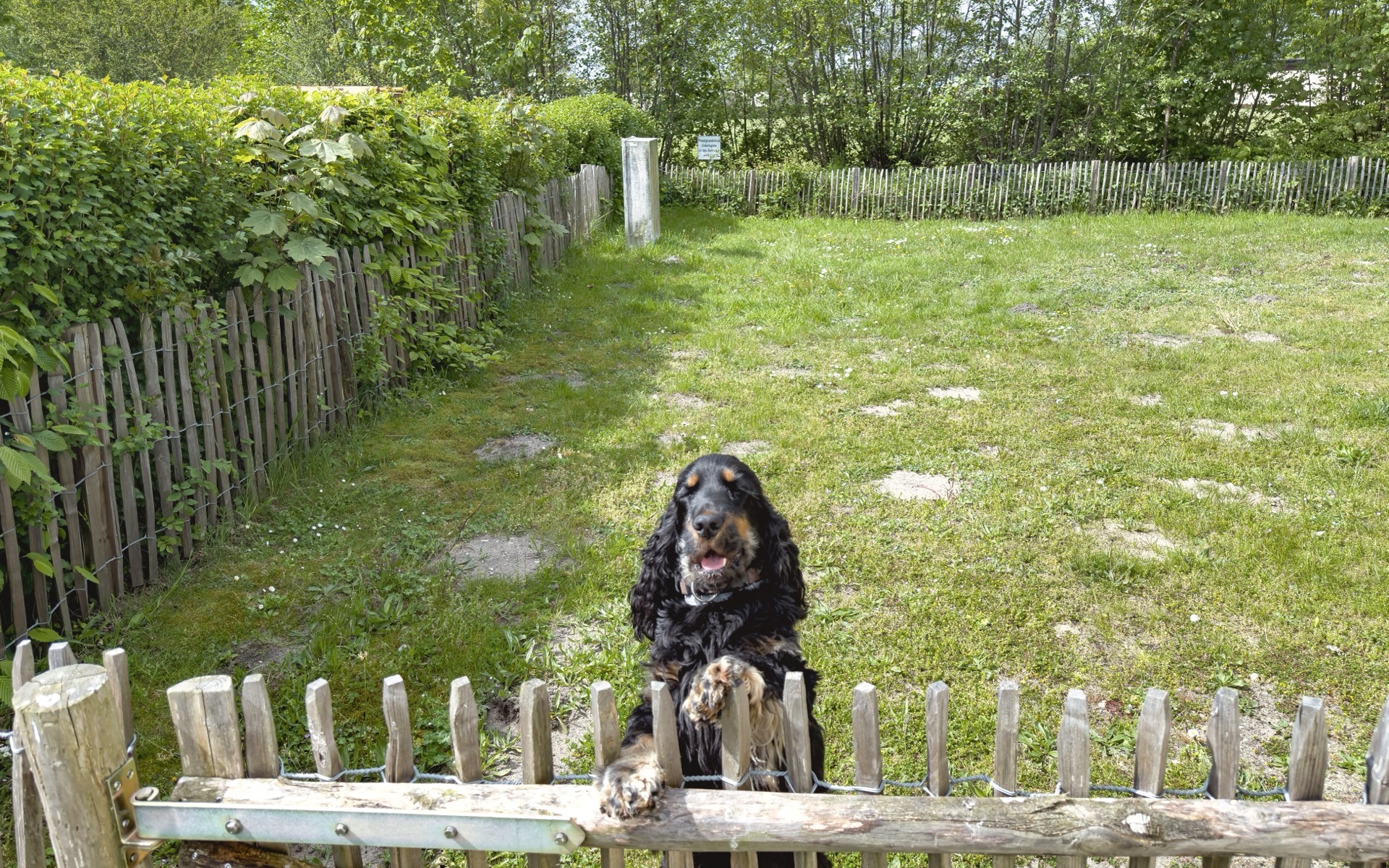 Urlaubsparadies für Hunde: Grömitz