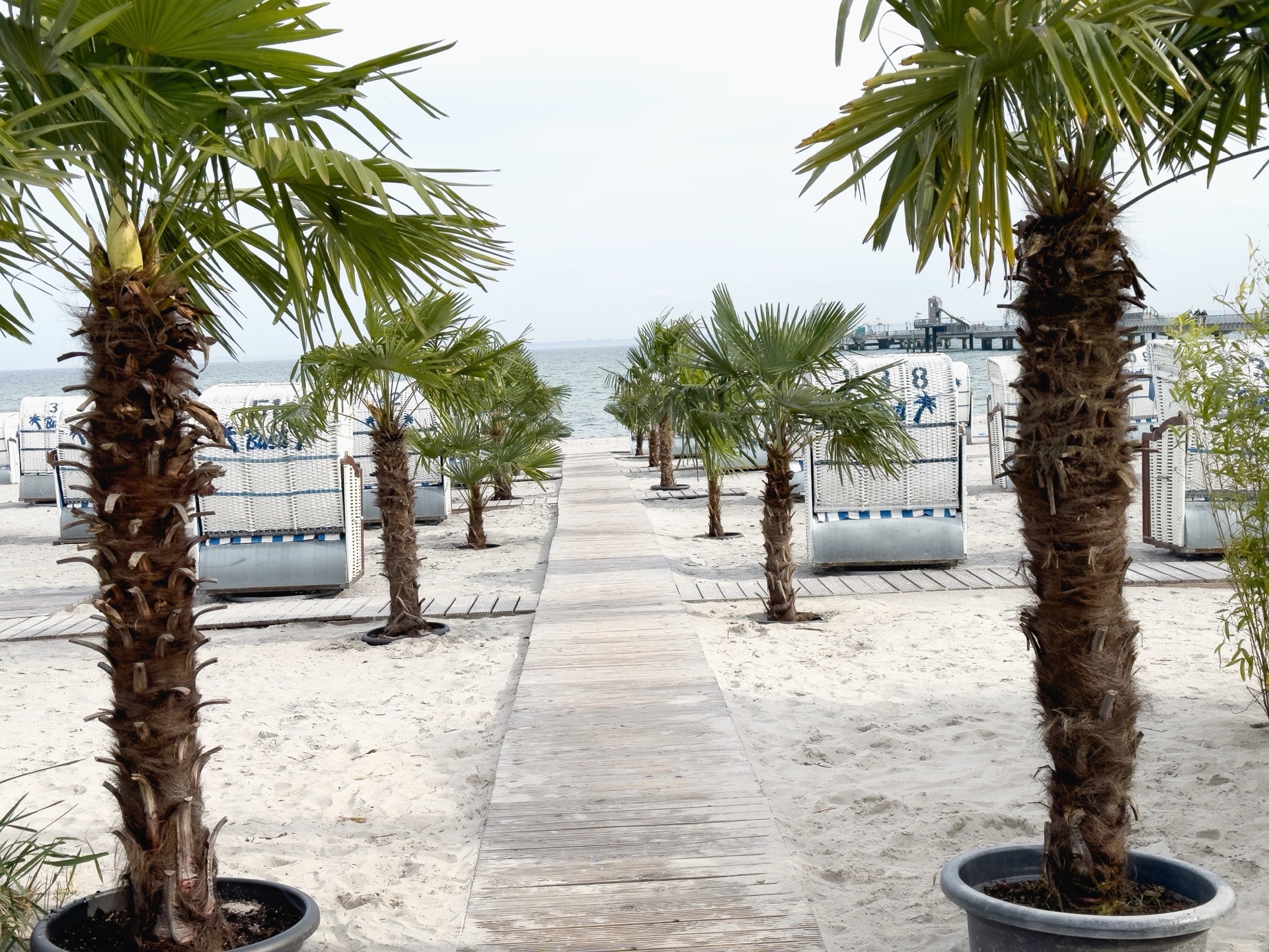 Blick auf Strand und Ostsee in Grömitz